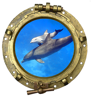 PORT HOLE DOLPHINS MAMA AND BABY 300 PORT HOLE DOLPHINS MAMA AND BABY 300